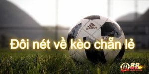 Khái niệm của kèo chẵn lẻ